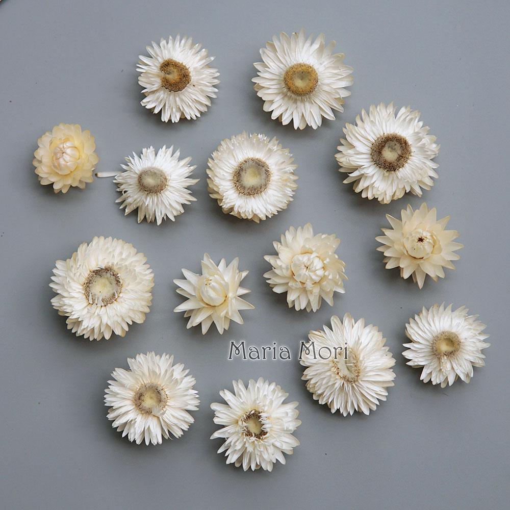 Natural Dried Colorful Chrysan - Hair Care Nature 评论和价格