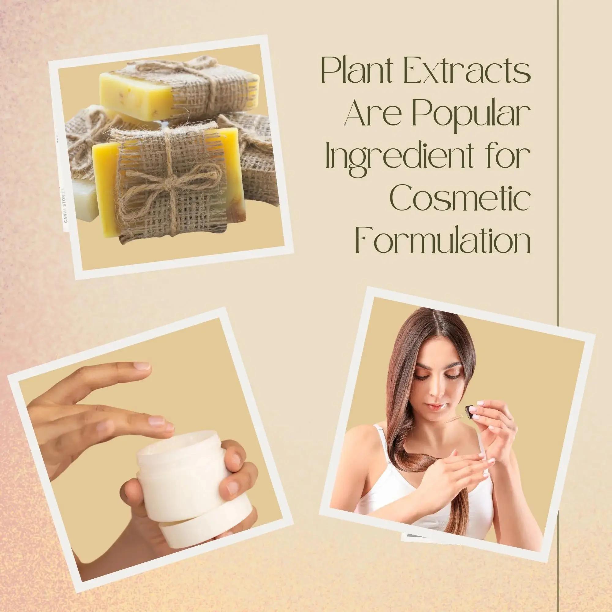 High Quality Soapberry Extract - Hair Care For Hair Loss 评论和价格
