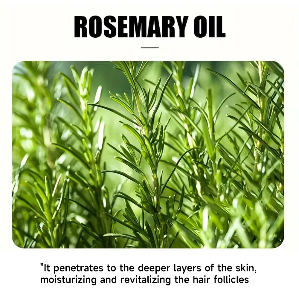 Rosemary Essential Oil Hair Gr - Hair Care Natural Products 评论和价格